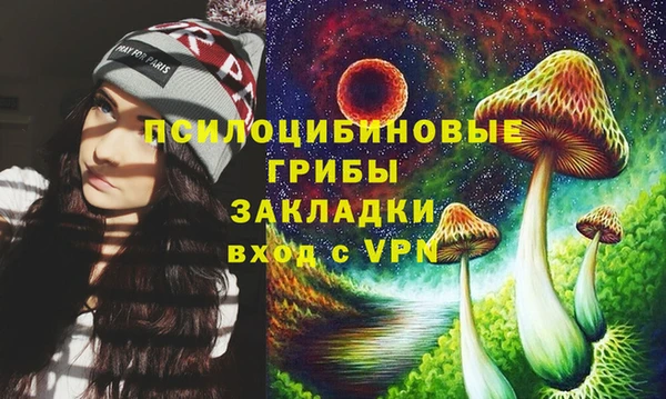 2c-b Алексеевка