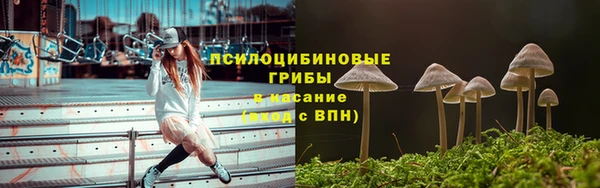 мяу мяу мука Абаза