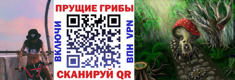 купить наркотики сайты  площадка состав  Галлюциногенные грибы Psilocybine cubensis  Порхов 